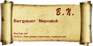 Bergauer Nepomuk névjegykártya